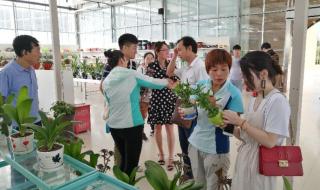 鄢陵花博会 鄢陵花博会