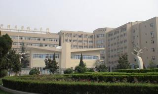 专科就业率排行榜