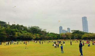 深圳亲子游玩地点推荐 深圳亲子游玩地点推荐